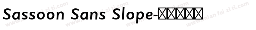 Sassoon Sans Slope字体转换